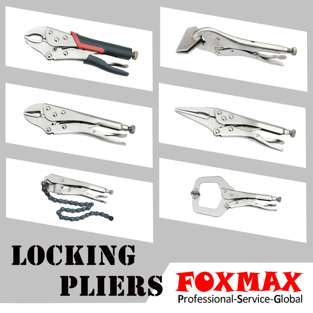 High Quality Vise Grip Locking Pliers (FX-LP04)